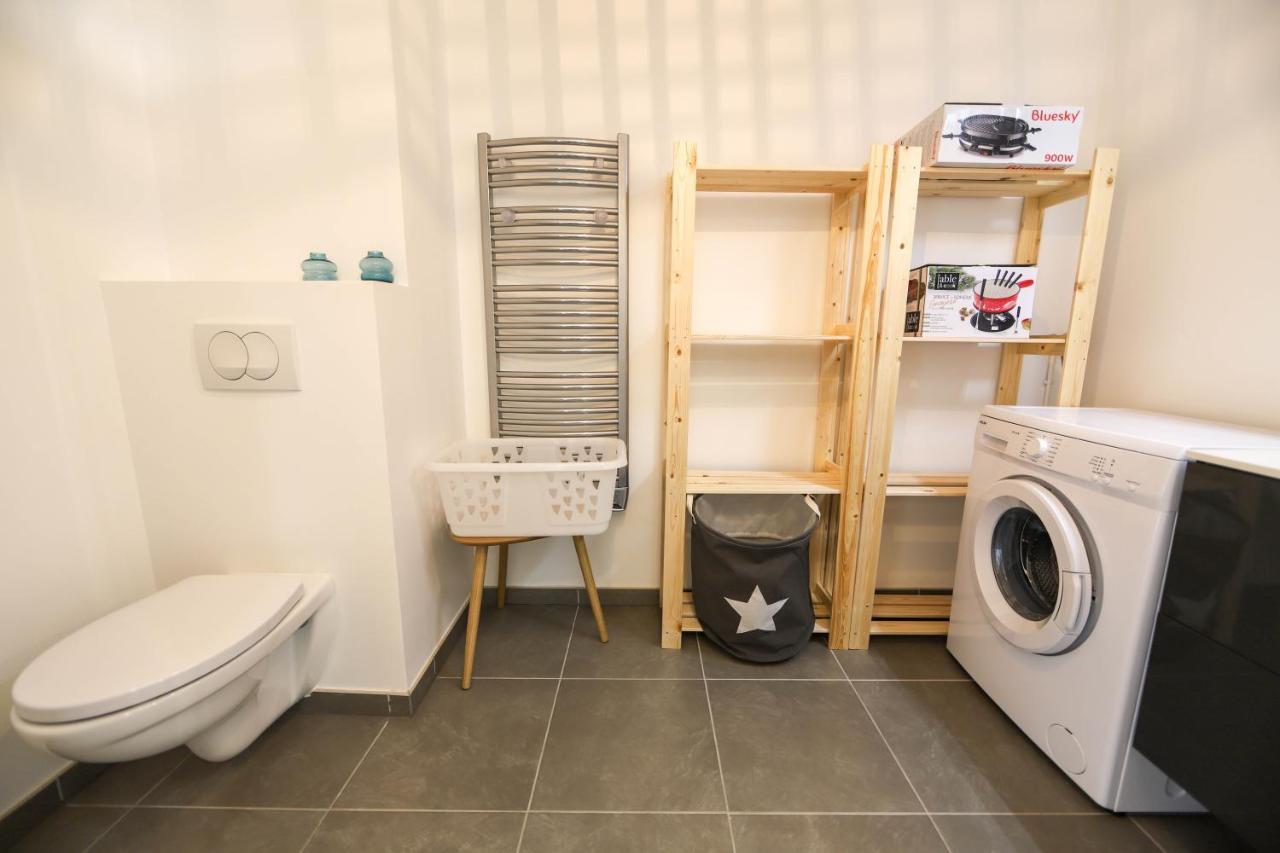 Les Choucas - Appartement Duplex Lumineux Avec Parking Annecy Dış mekan fotoğraf