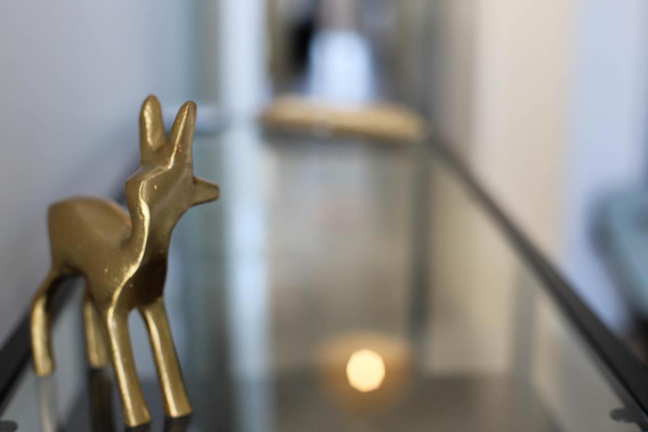 Les Choucas - Appartement Duplex Lumineux Avec Parking Annecy Dış mekan fotoğraf